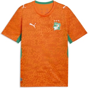 Maillot PUMA Fif Home Jersey Replica Homme
